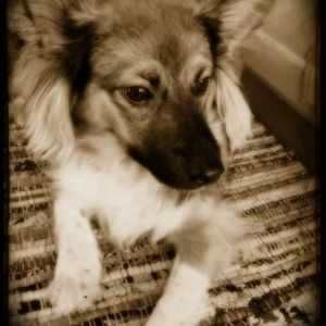 Meet your Posher, Claudia